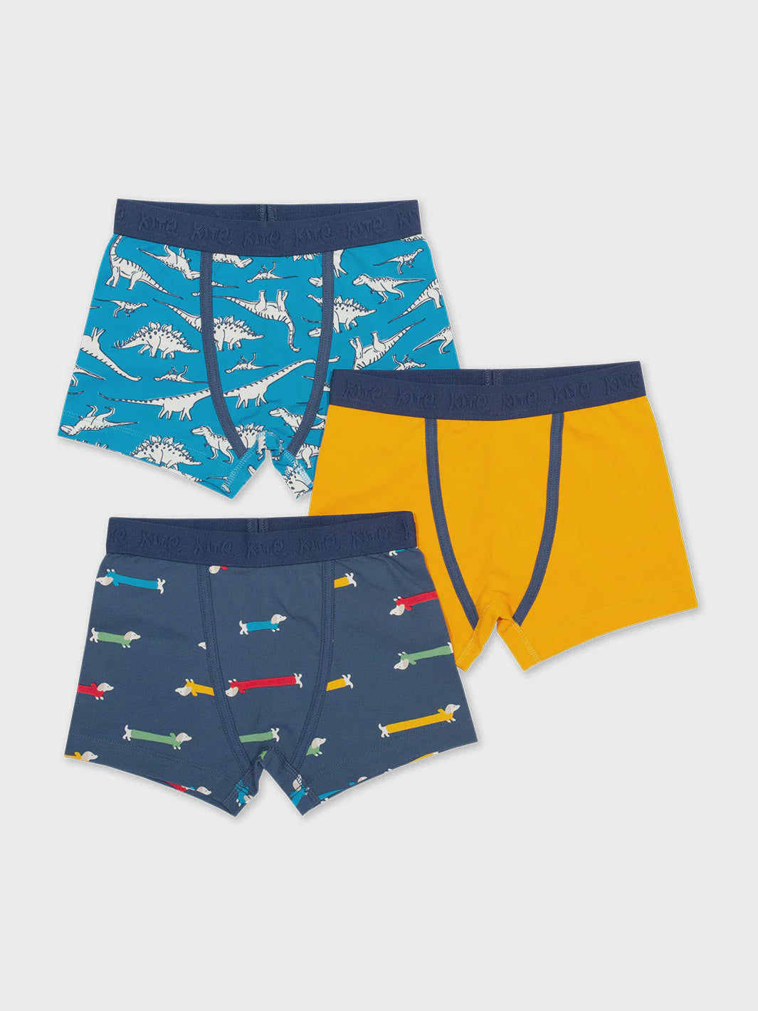 Dino Fan Trunks (GOTS)