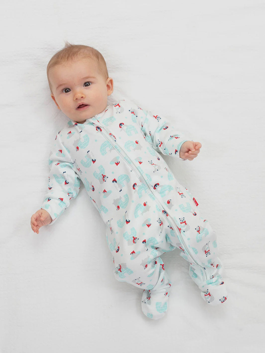 Snowy Homes Sleepsuit (GOTS)