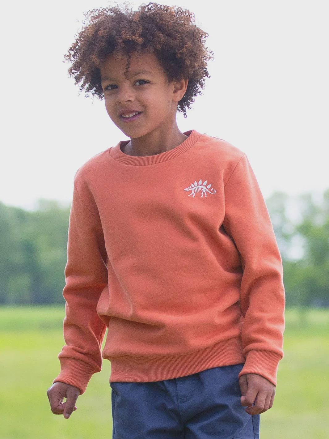 Dino Discovery Sweatshirt (GOTS)