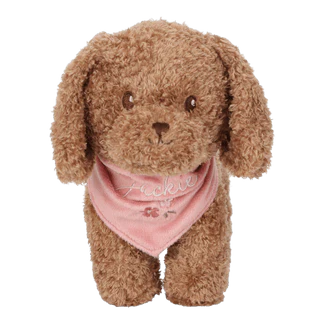 Plush Toy Cuddle Dog & Carrier