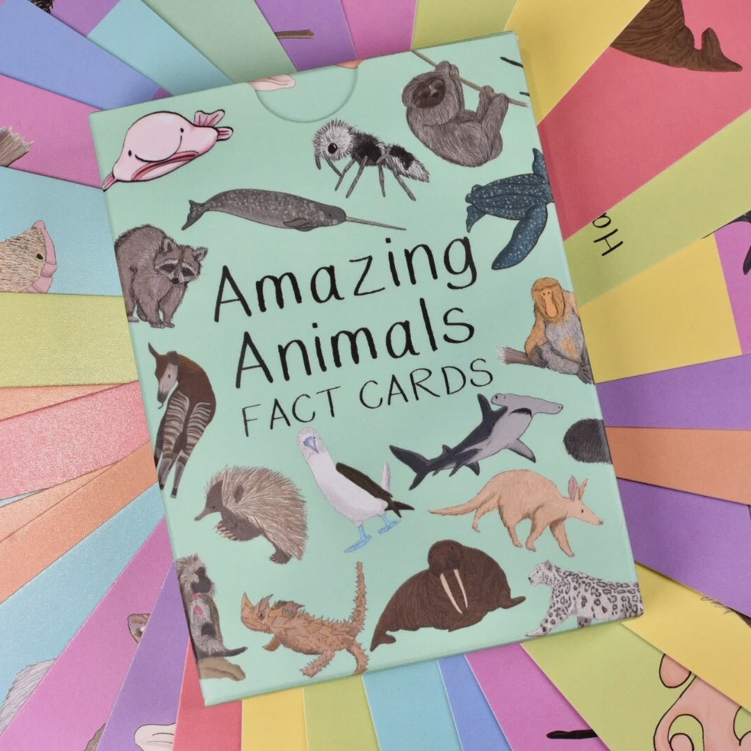 Amazing Animals Fact Cards Set One