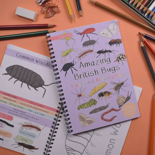 Amazing British Bugs Fact & Activity Book