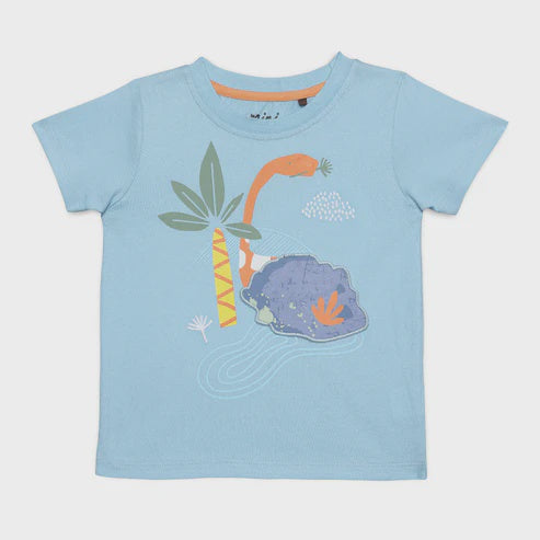 Baby Boys Dinosaur T-Shirt - Pale Blue