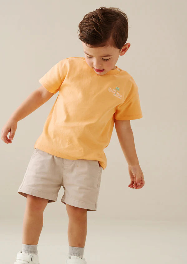 Stone Chino Shorts