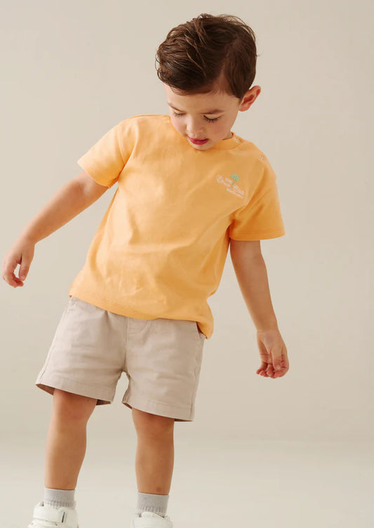 Stone Chino Shorts