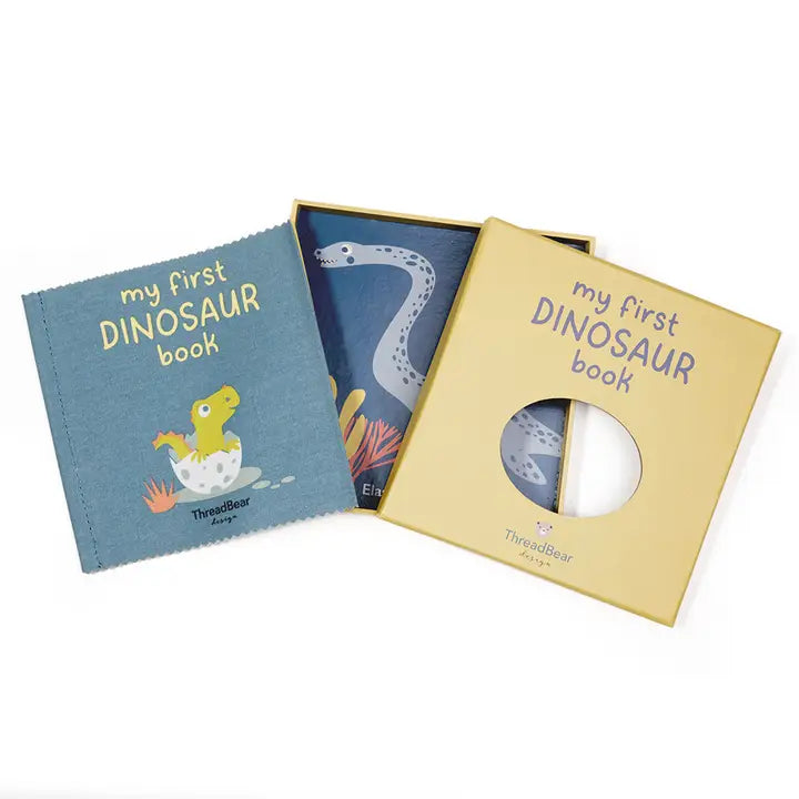 My First Dinosaur Cloth Book