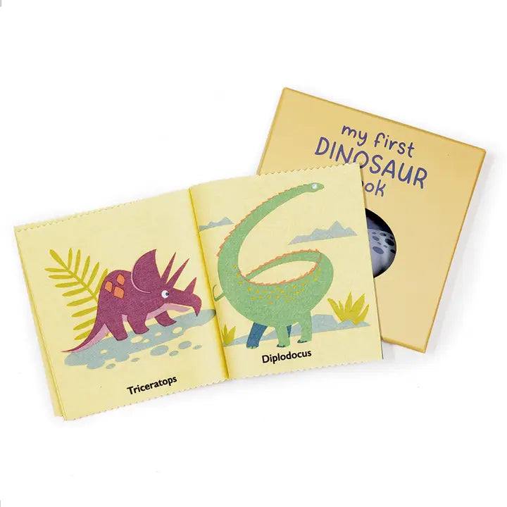 My First Dinosaur Cloth Book