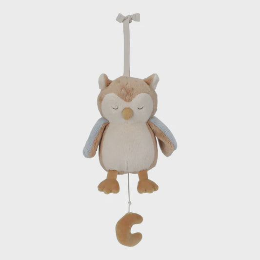 Music Box Owl - Forest Friends