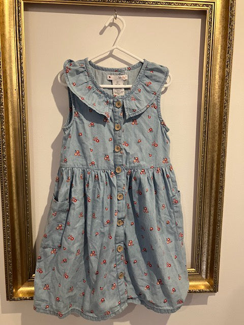 Pre-loved Nula Bug Cotton Dress 6-7y