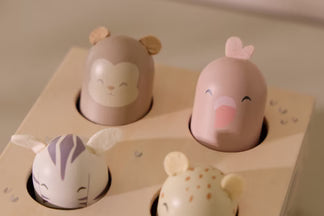Wooden Pop Up Toy FSC