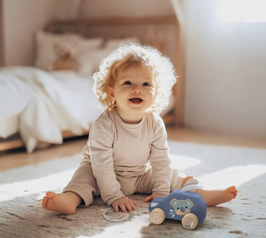 Wooden Pull Along Car