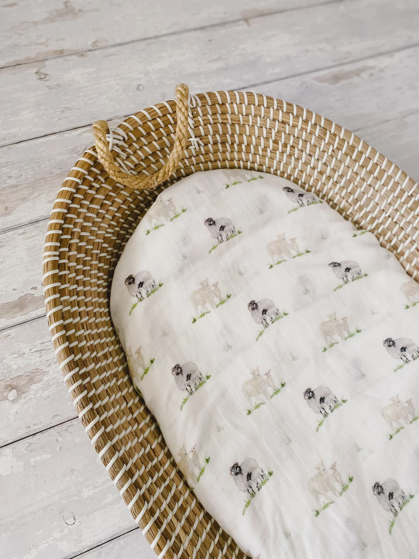 Sheep Muslin