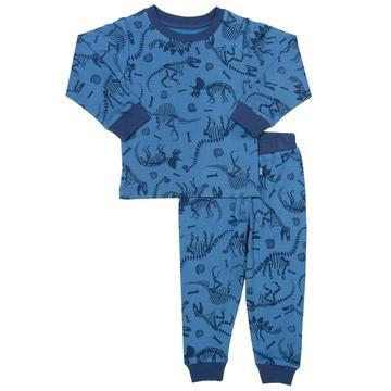 Dino discovery pyjamas