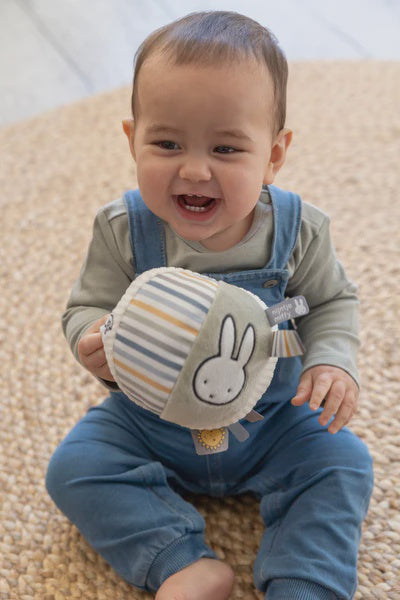 Miffy Ball Fluffy - Blue